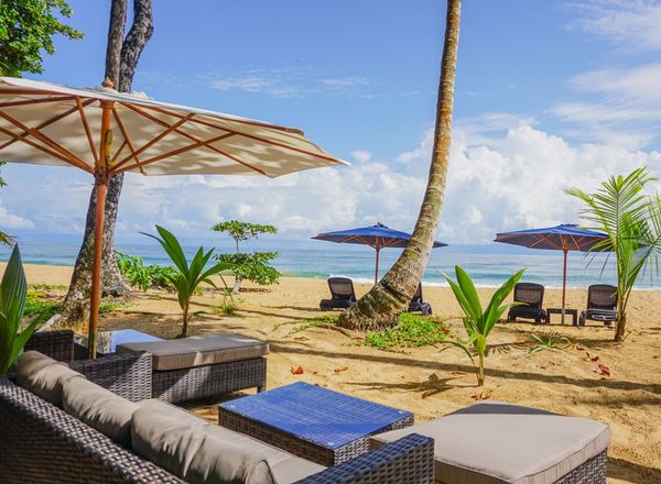 Island Plantation Hotel