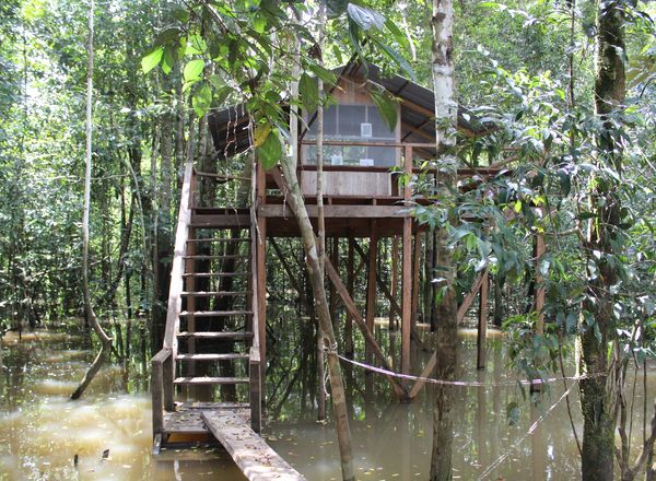Waira Selva - Puerto Nariño