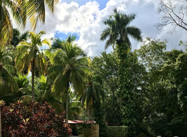 Hacienda Chichen Resort