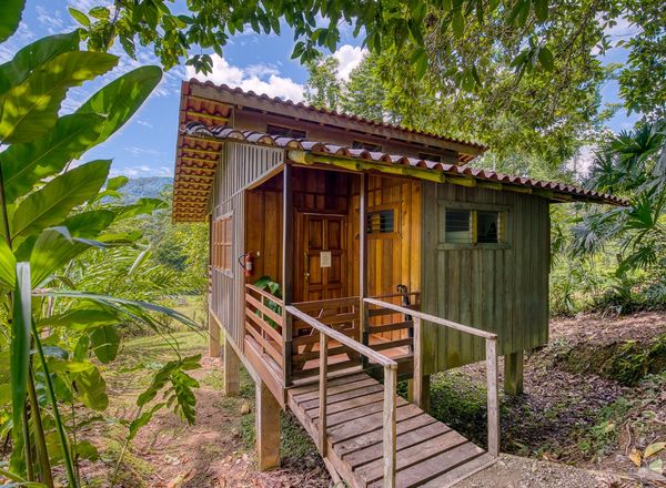 Selva Bananito Lodge & Reserve