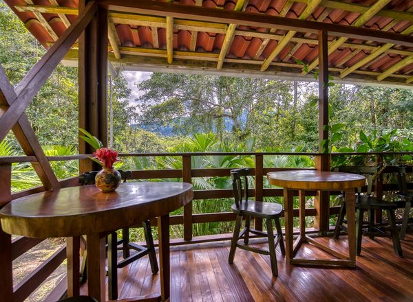 Selva Bananito Lodge & Reserve