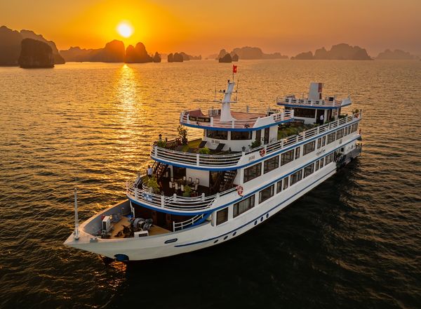 Swan Cruise