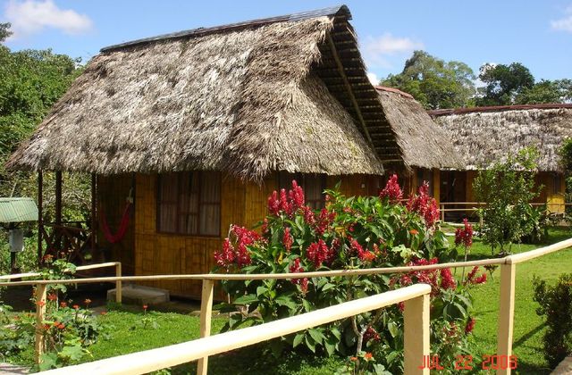 Ecuador, Amazonas, Yarina Ecolodge, Cabanas