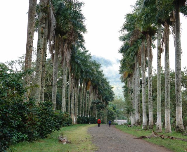 Nicaragua Matagalpa La Cumplida