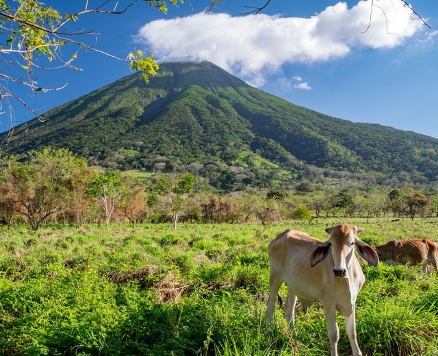 Nicaragua Insel Ometepe Vulkan