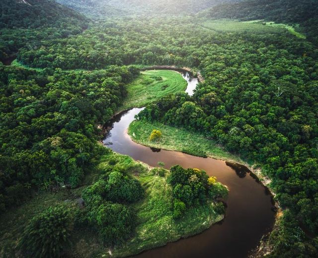 Brasilien Manaus Regenwald