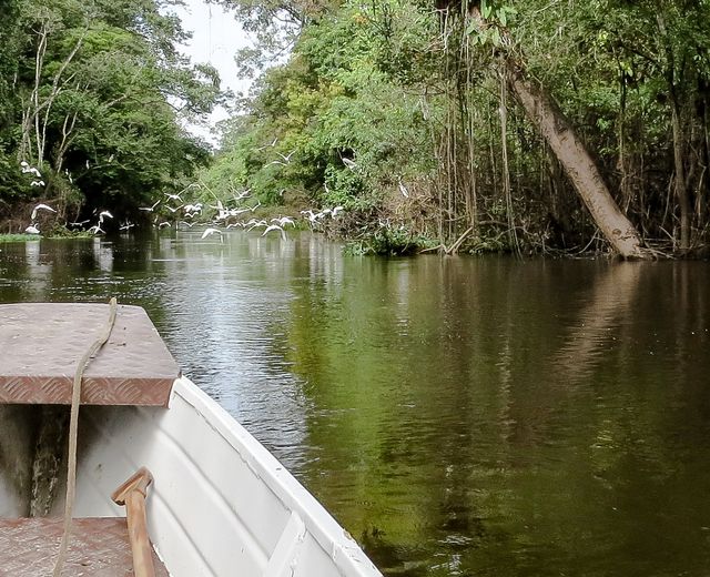 Kolumbien Amazonas Boot