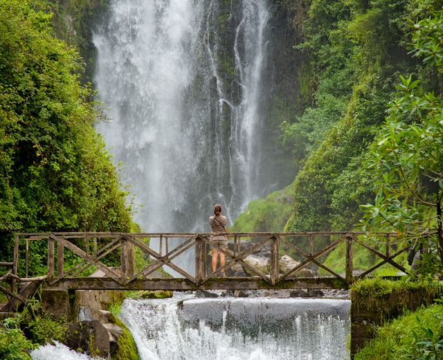 Ecuador Amazonas Regenwald Wasserfall