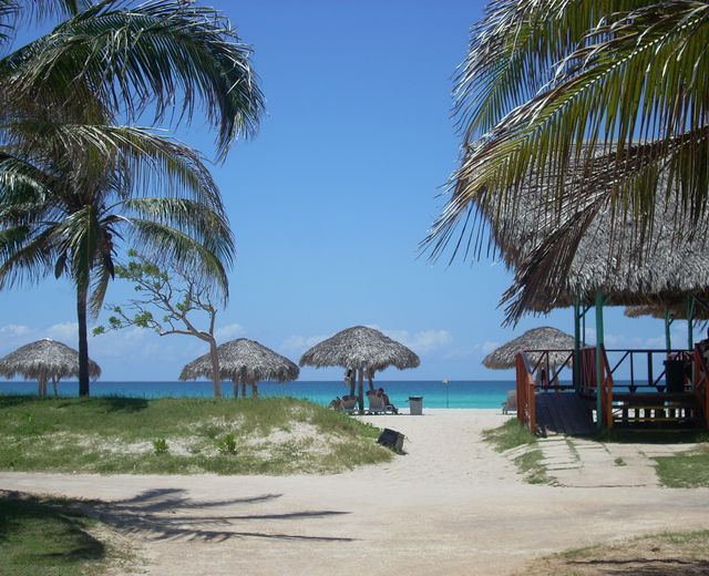 Kuba Varadero Strand mit Palmen