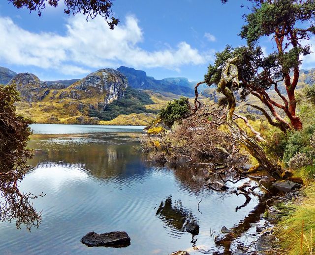 Ecuador Cajas Nationalpark Panorama 1166321011