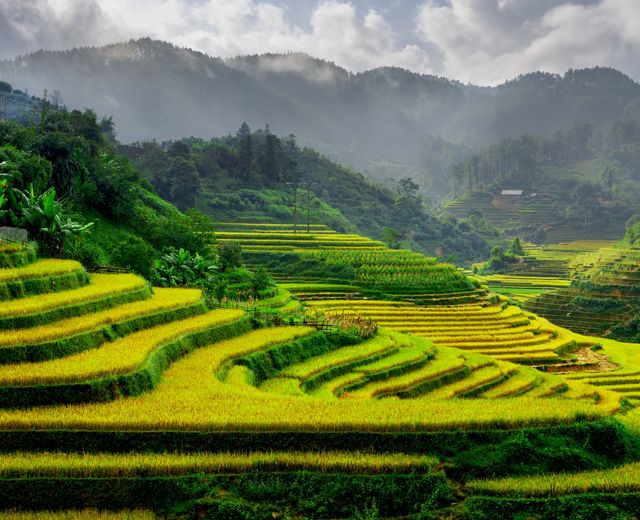 Vietnam Reis Felder Mu Cang Chai - Wanderung Sapa Rundreise Vietnam