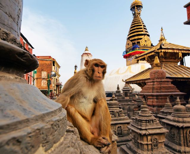 Nepal Patan Swayambunath AdobeStock 28029312