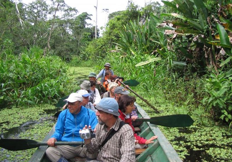 7 peru tambopata 1