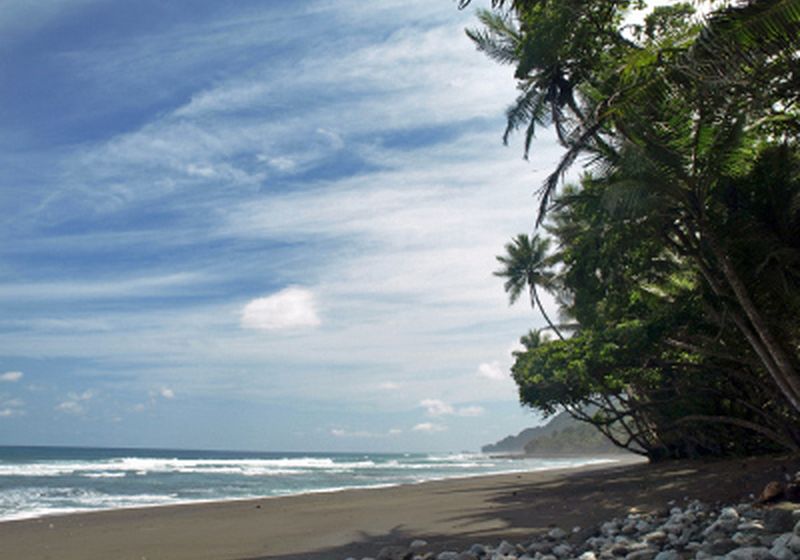 corcovado national park 2