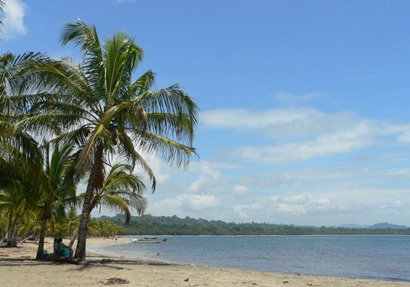 playa cocles 2