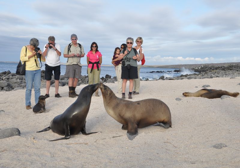 ecuador galapagos seelowen1