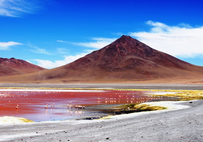 Bolivien Uyuni rote Lagune