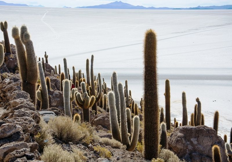 bolivien salardeuyunijpg