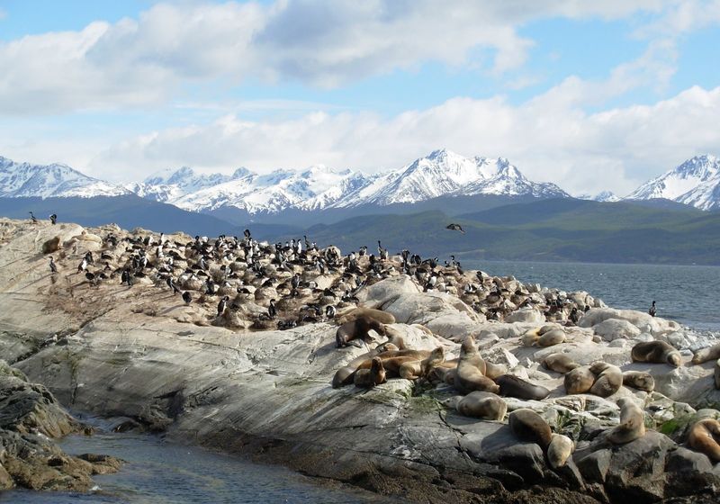 argentinien ushuaia beagle kanal
