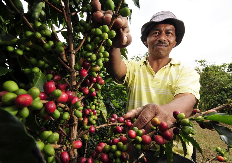 Kolumbien Kaffeeregion