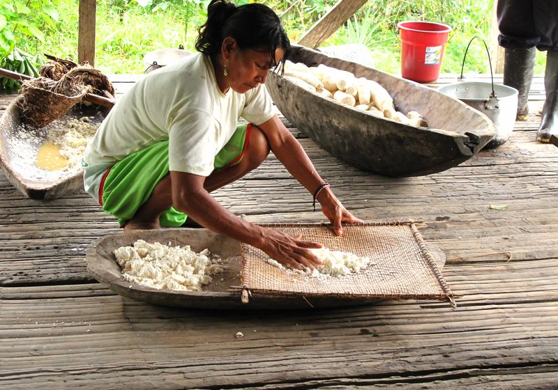ecuador cuyabeno yuca preparation