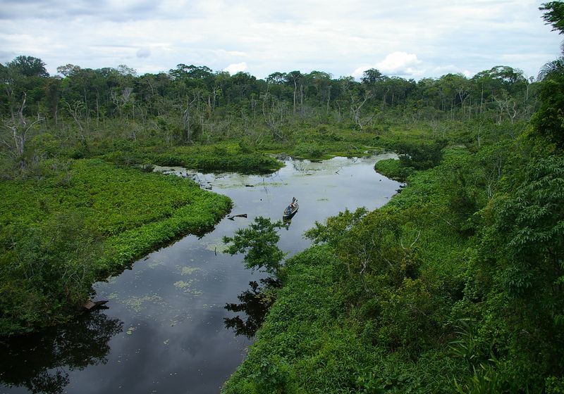 peru eco amazonia lodge dschungel