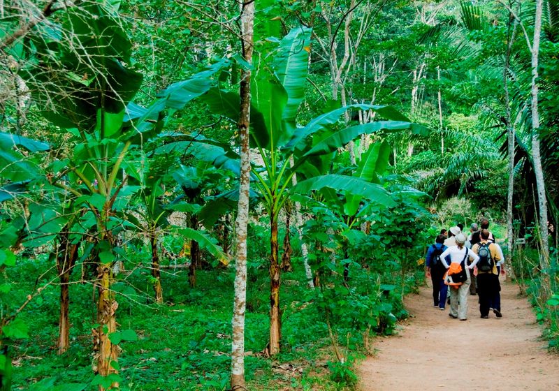 peru tambopata wanderung