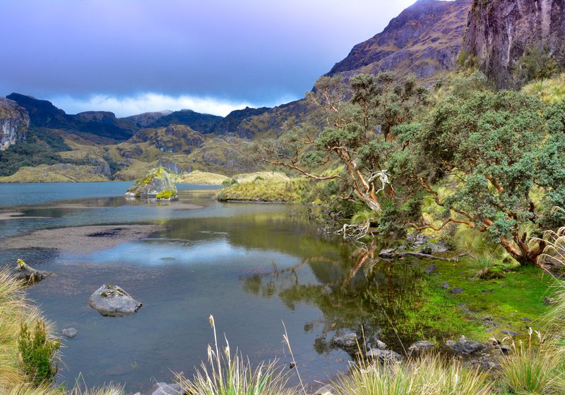 ecuador cajas nationalpark lagune P45EdkG