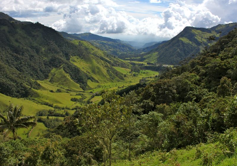 Das Cocora Tal in der Kaffeezone von Kolumbien