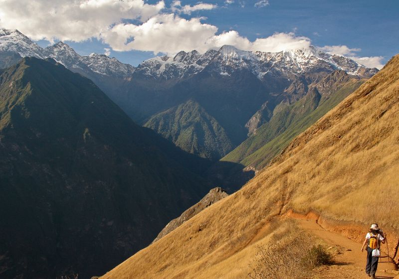 peru choquequirao cachora tag 12