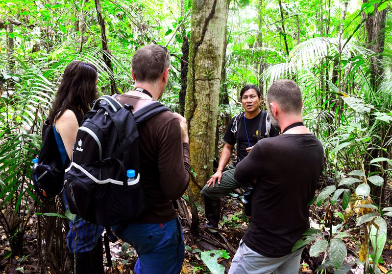 Dschungelwanderung im Amazonasgebiet, Ecuador
