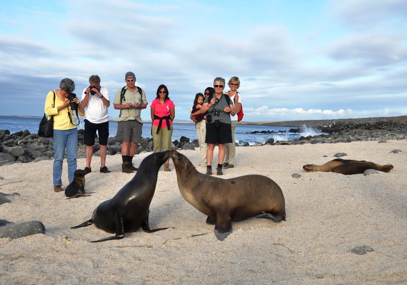 Inselhopping auf den Galapagosinseln