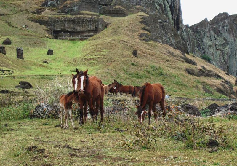chile osterinsel rano raraku