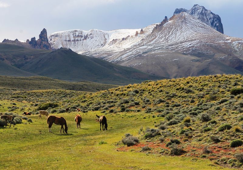 chile aisen parque nacional jeinimeni (28)