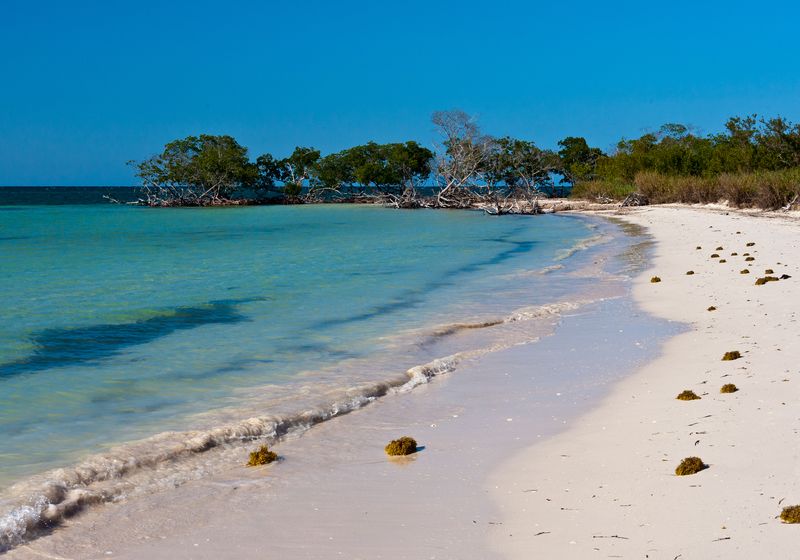 Kuba Cayo Jutias