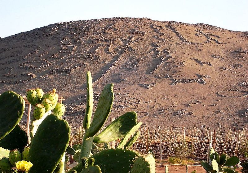 Chile Valle Azapa Geoglyphen