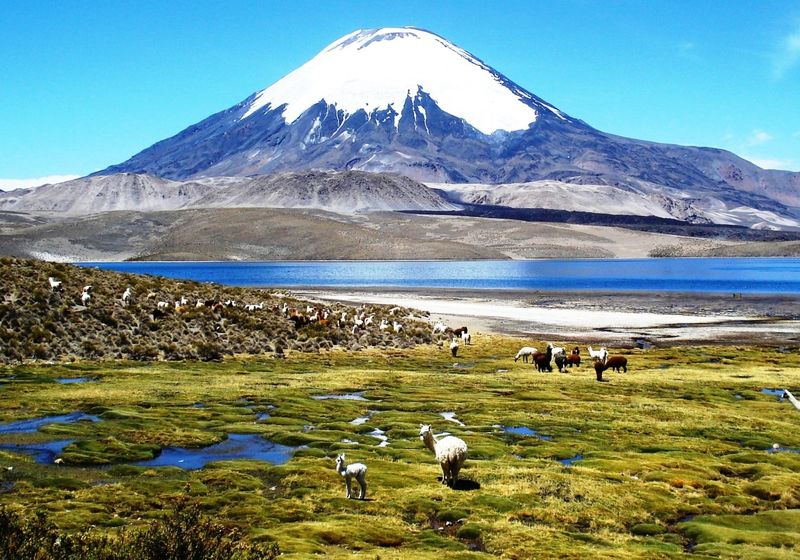 Chile Lauca Nationalpark Lago Chungara 2