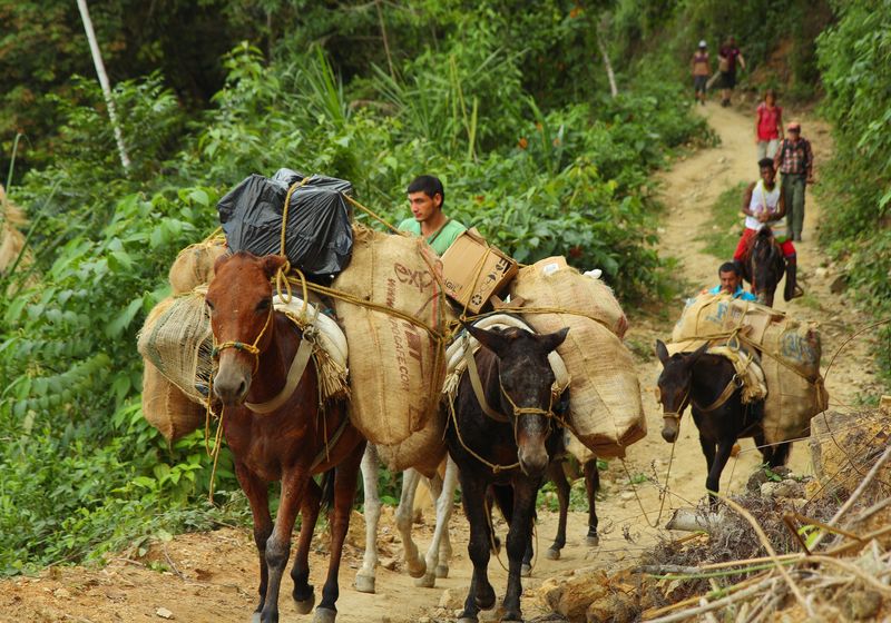 Kolumbien Ciudad Perdida Bevölkerung-Latinconnect