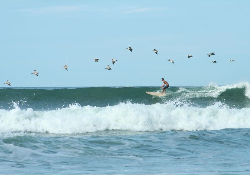Costa Rica Dominical
