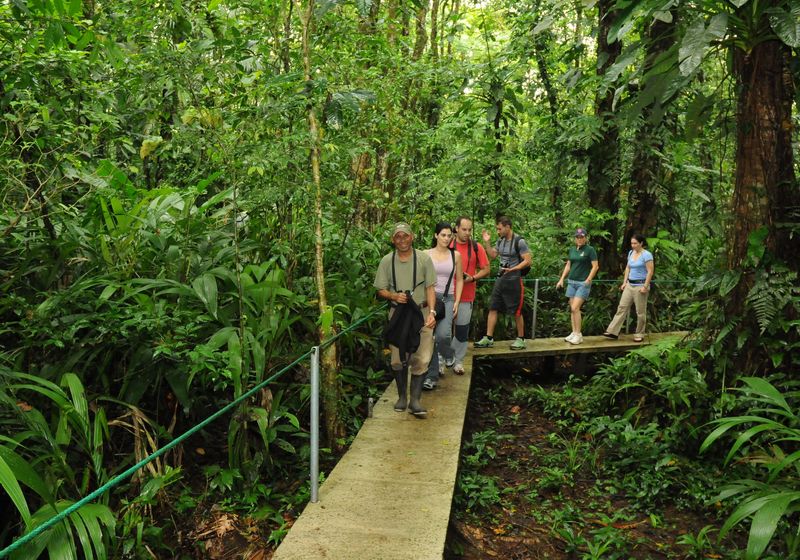 Costa Rica Tortuguero Tour mit Guide