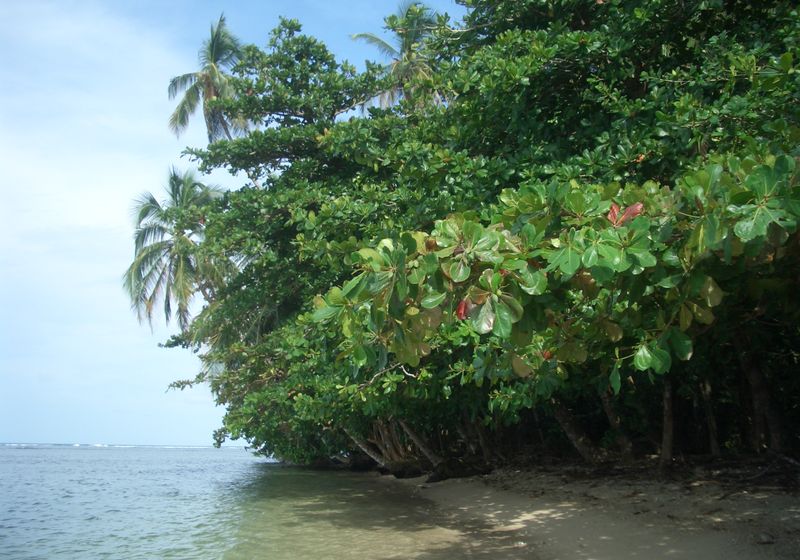 Cahuita