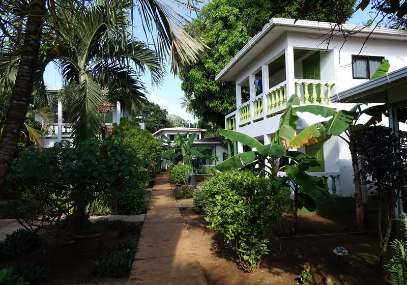Hotel los Delfines