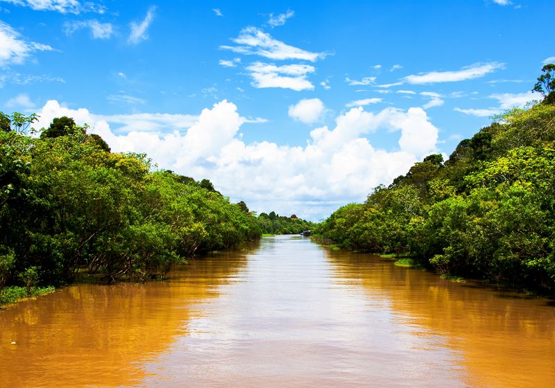 Brasilien Amazonas Fluss
