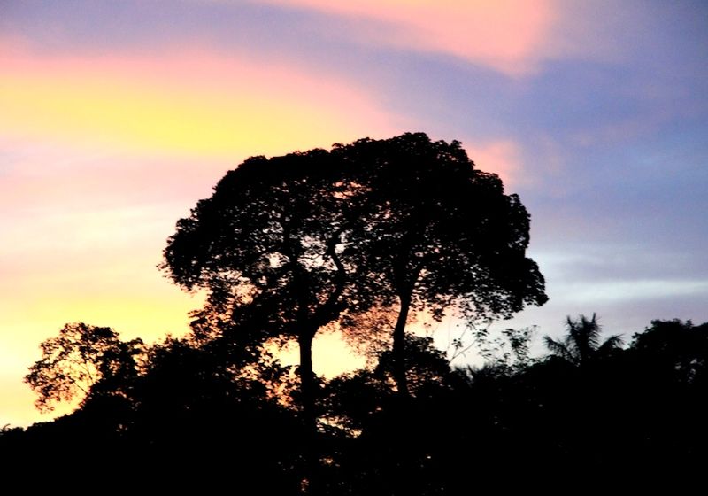 Brasilien Amazonas Sonnenuntergang