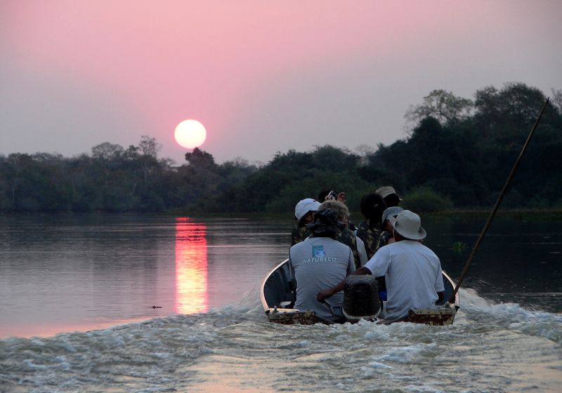 Brasilien Süd Pantanal Sonnenuntergang