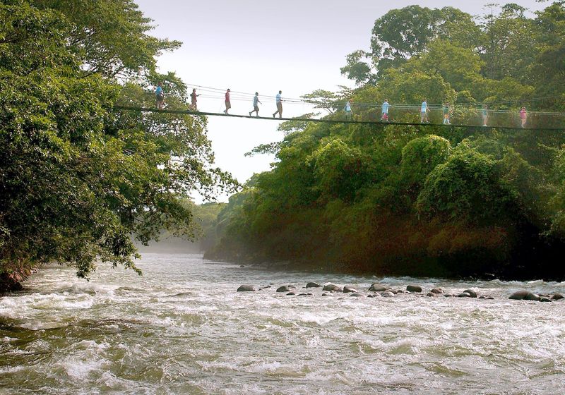 Costa Rica Puerto Viejo De Sarapiquí Tirimbina Bridge