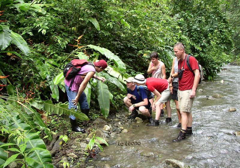 Costa Rica La Leona La Leona Ecolodge Corcovado Nationalpark