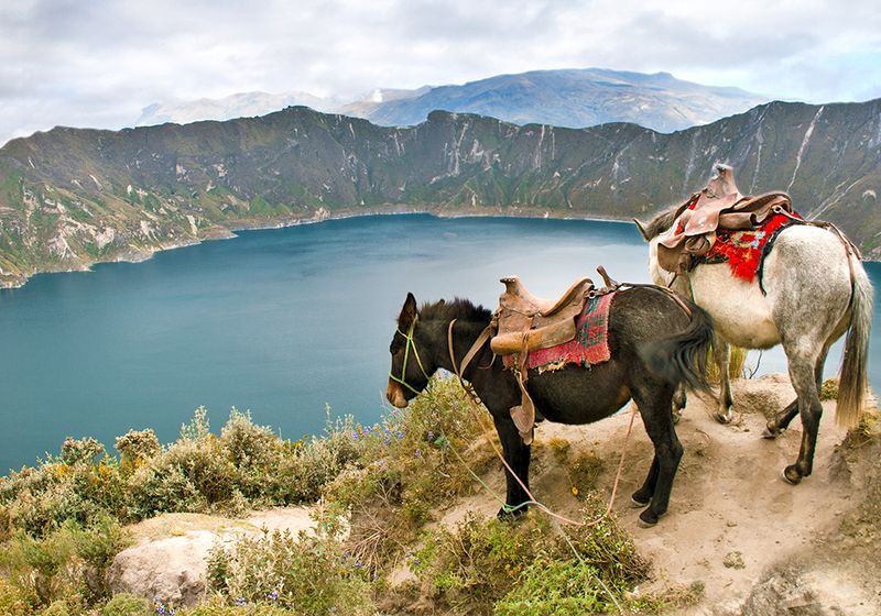Ecuador Reisen - Ihr Spezialist Papaya Tours