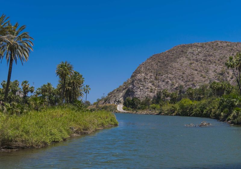 Mexiko Baja California Oase Mulege iStock 836409372