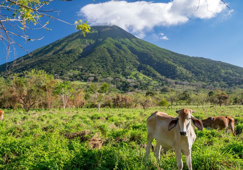 Nicaragua Insel Ometepe Vulkan